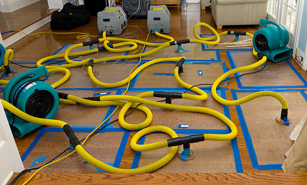 Professional Sewage Cleanup technician working in Plymouth, IN